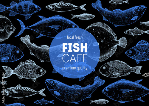 Fish sketch collection. Hand drawn vector illustration great for package or menu design. Seafood fish pattern. Leaflet, brochure, booklet design template. Black and white engraved style.