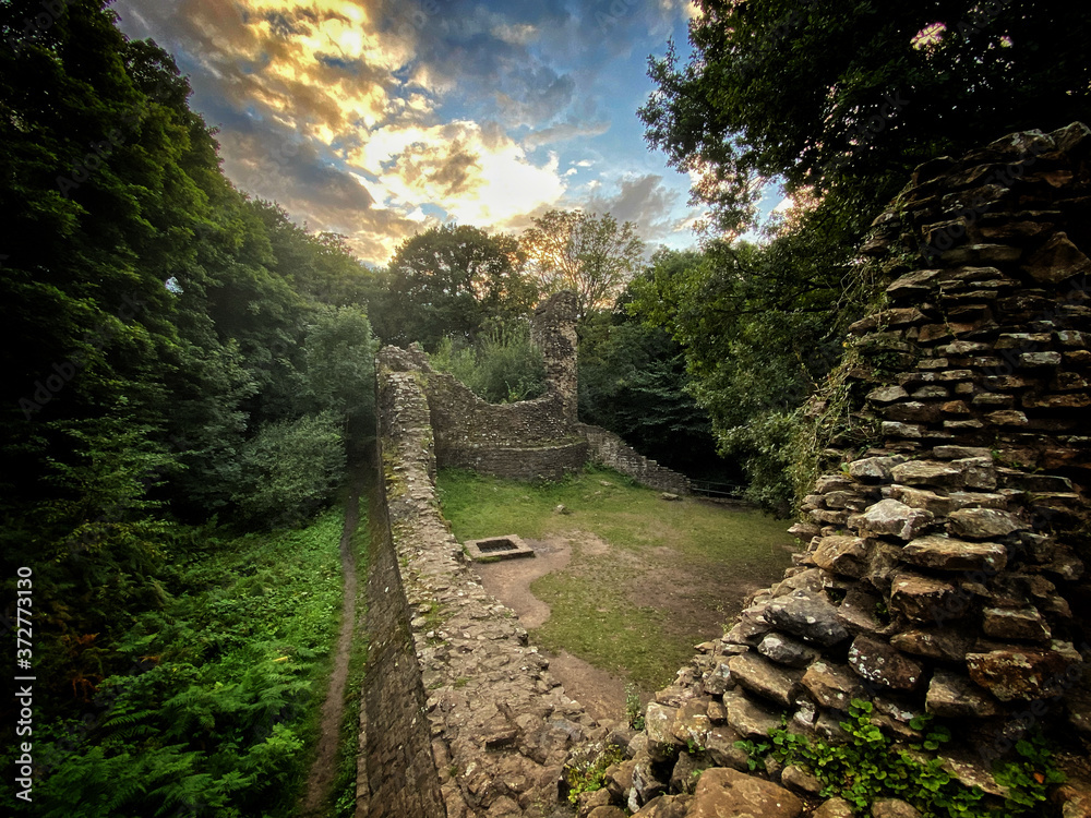 Obraz premium path in the mountains
