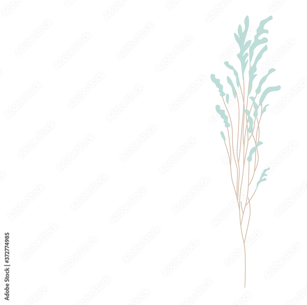 Fototapeta premium Vector stock illustration of pampas grass. Cream branch of dry grass. Panicle Cortaderia selloana South America, feather flower head plumesstep. soft mint color. Template for a wedding card.