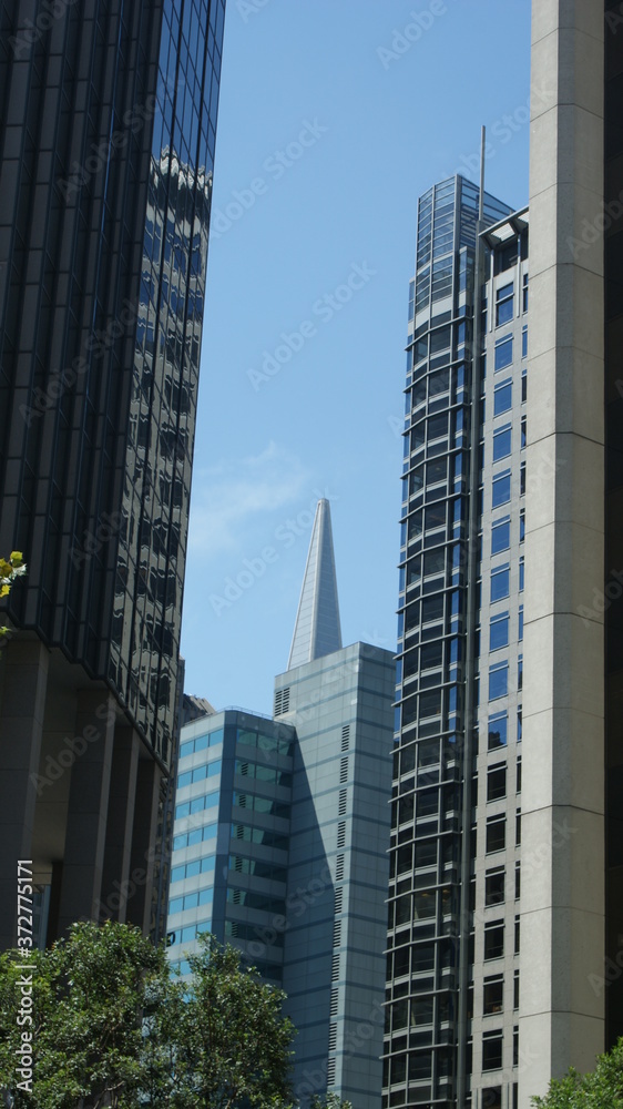 San Francisco FiDi San Francisco FiDi