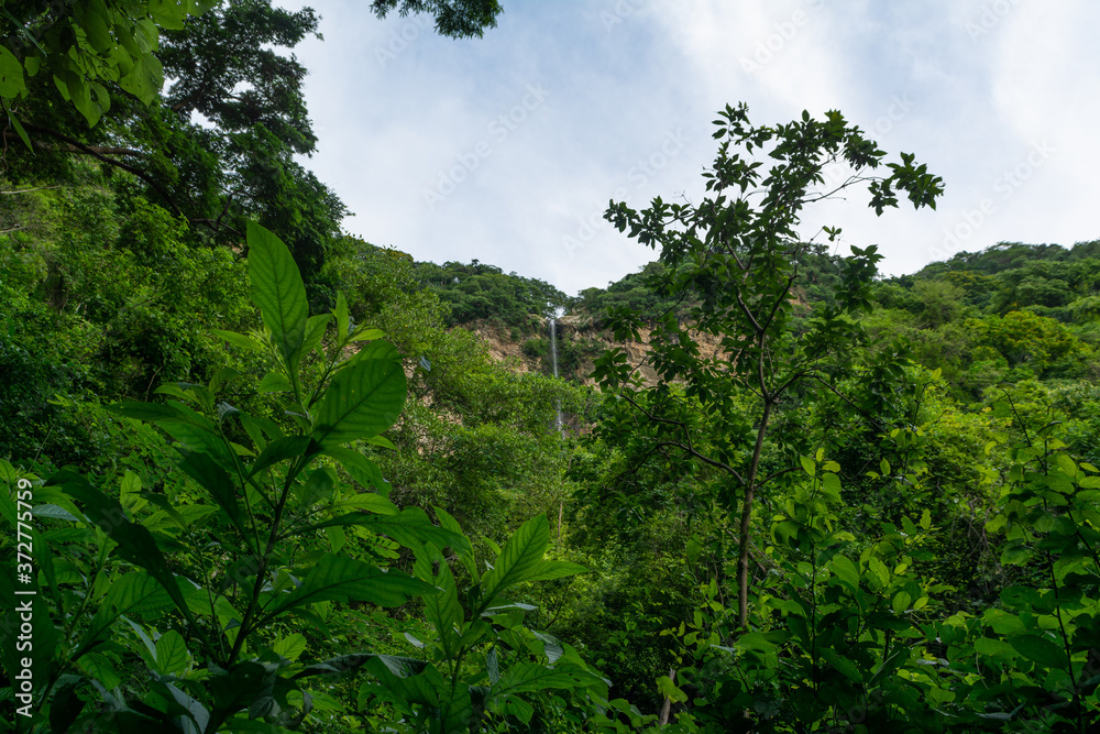 Obraz premium cascada