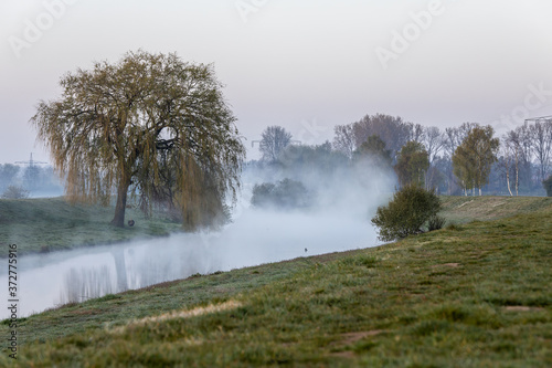 Wallpaper Mural An der hase bei Nebel Torontodigital.ca