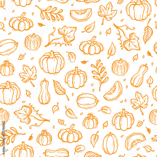 Vegetables Vector Background. Different Varieties of Pumpkins and Leaves Seamless Pattern. Autumn Harvest Symbols. Hand Drawn Doodle Pumpkin and leaf. Thanksgiving Day