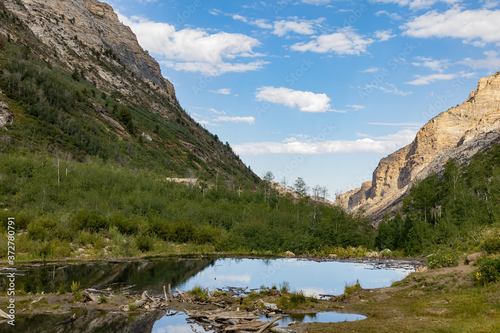 Beautiful landscape around Lamoille Canyon Beautiful landscape around Lamoille Canyon