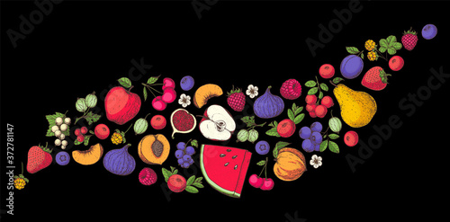 Berries and fruits collection. Hand drawn vector illustration. Food illustration. Hand drawn berry and fruit set. Colorful illustration.