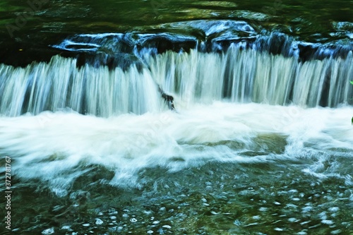 Polska. Roztocze. Szumy nad rzeką Tanwią. © Grzegorz