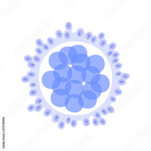In vitro fertilisation concept