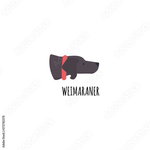 Funny cartoon style icon of weimaraner for different design. Cute hunting dog with text.