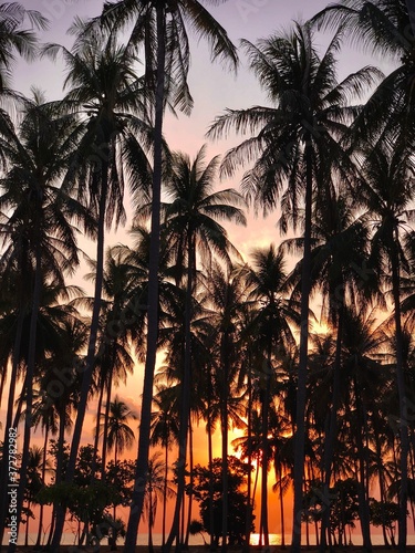 Beautiful tropical sunset view on Ko Lanta island, in Thailand. Colorful, orange sky and exotic palms. Postcard landscape.