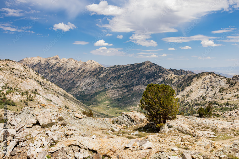 Morning view of the beautiful landscape around the Ruby Crest Trail