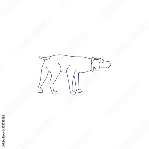 Funny line style icon of weimaraner dog for different design.
