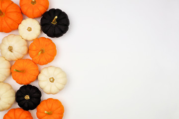 Autumn pumpkin side border in Halloween colors orange, black and white against a white background. Copy space.