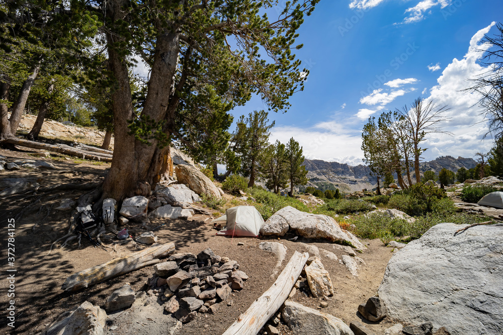 Afternoon sunny view of a campground with bags and tent Afternoon sunny view of a campground with bags and tent