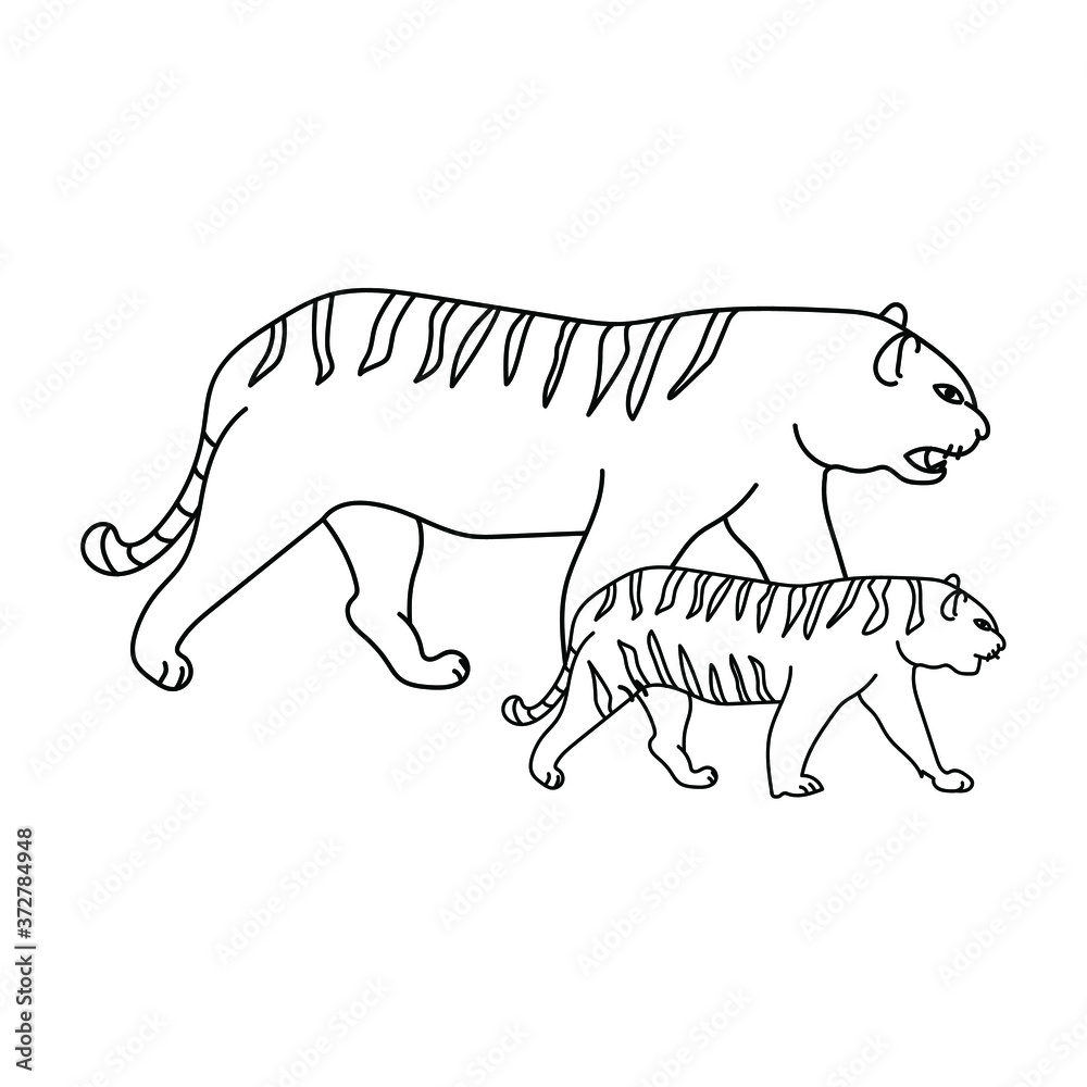 Obraz premium Adult tiger and tiger cub, mom and baby animals, educational materials in the form of a coloring page for children, vector outline illustration