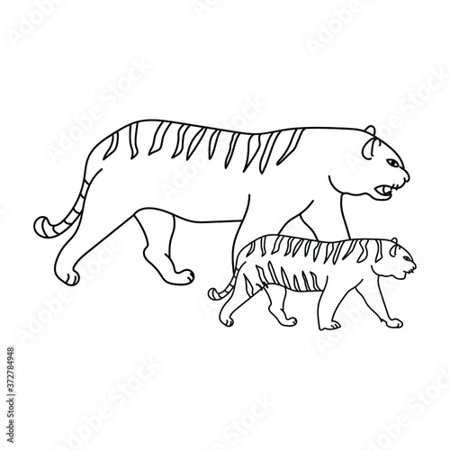 Adult tiger and tiger cub, mom and baby animals, educational materials in the form of a coloring page for children, vector outline illustration