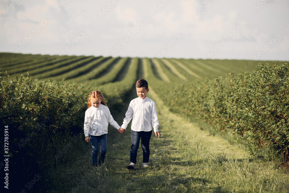 Beautiful little girl in a white shirt. Childred playing in a summer field