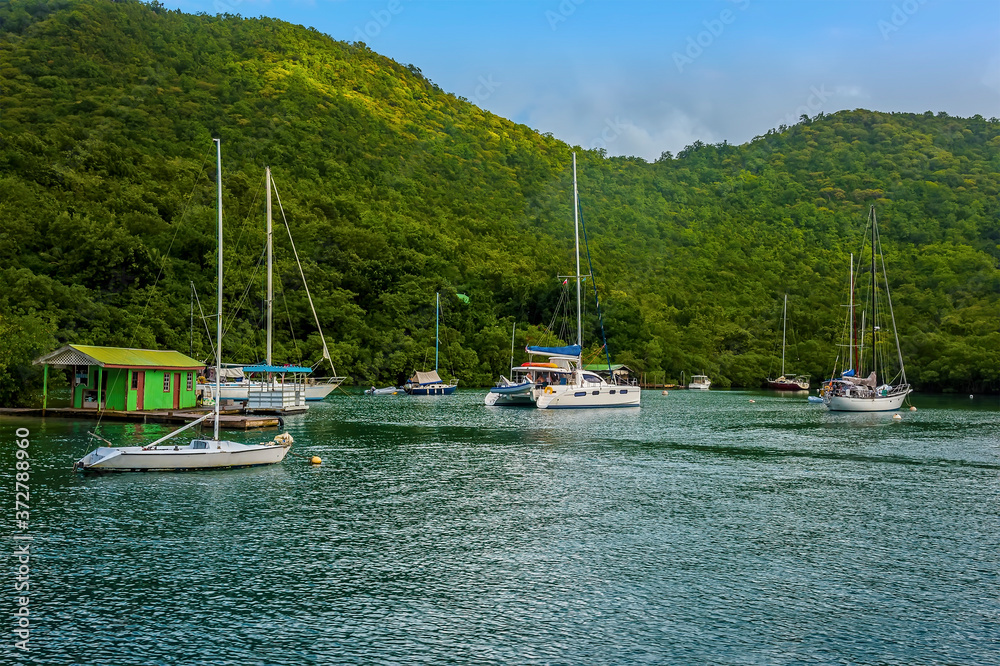 A view of yachts moored in Marigot Bay, St Lucia in the morning