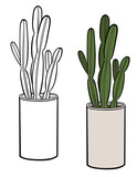 A picture of a house plant in a planter. Vector outline illustration drawings of coloured indoor cactus plant in a flowerpot isolated on a white background.