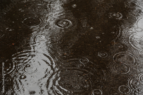 Fotografie, Obraz raindrops in a puddle outside