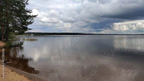 reflection of trees on the lake