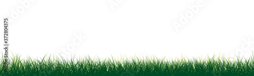 Meadow vector illustration green