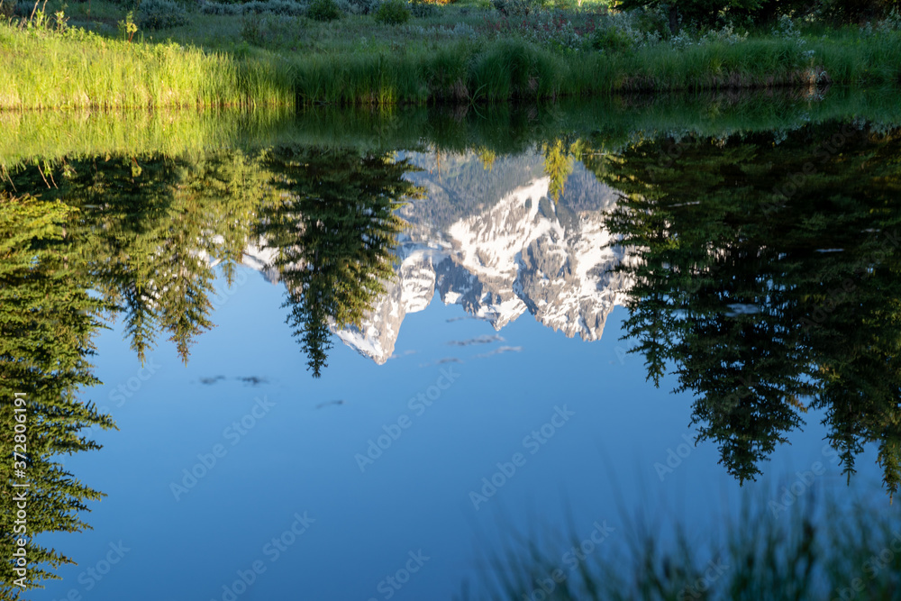 Reflection only view at Schwabachers Landing in Grand Teton National Park. Abstract view and intentionally out of focus, useful for backgrounds