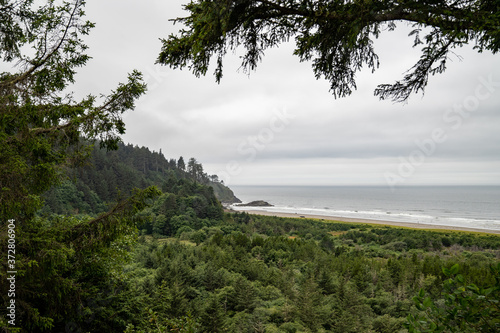 Wallpaper Mural Beards Hollow overlook at Cape Disappointment State Park, Washington State Torontodigital.ca