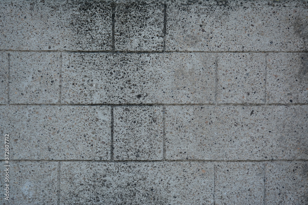 Fototapeta premium Concrete bricks rough surface background