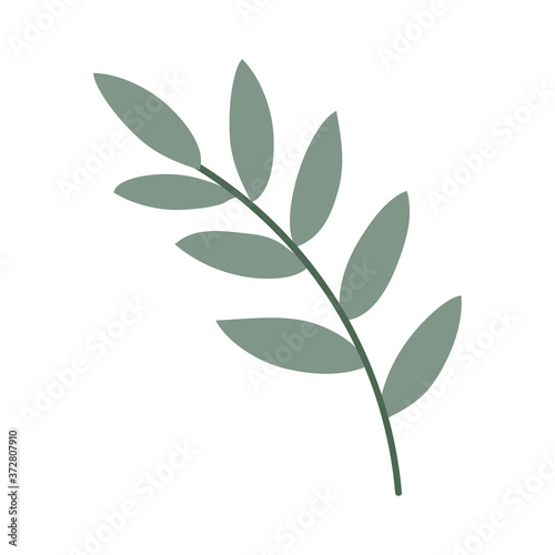 branch with leafs flat style icon