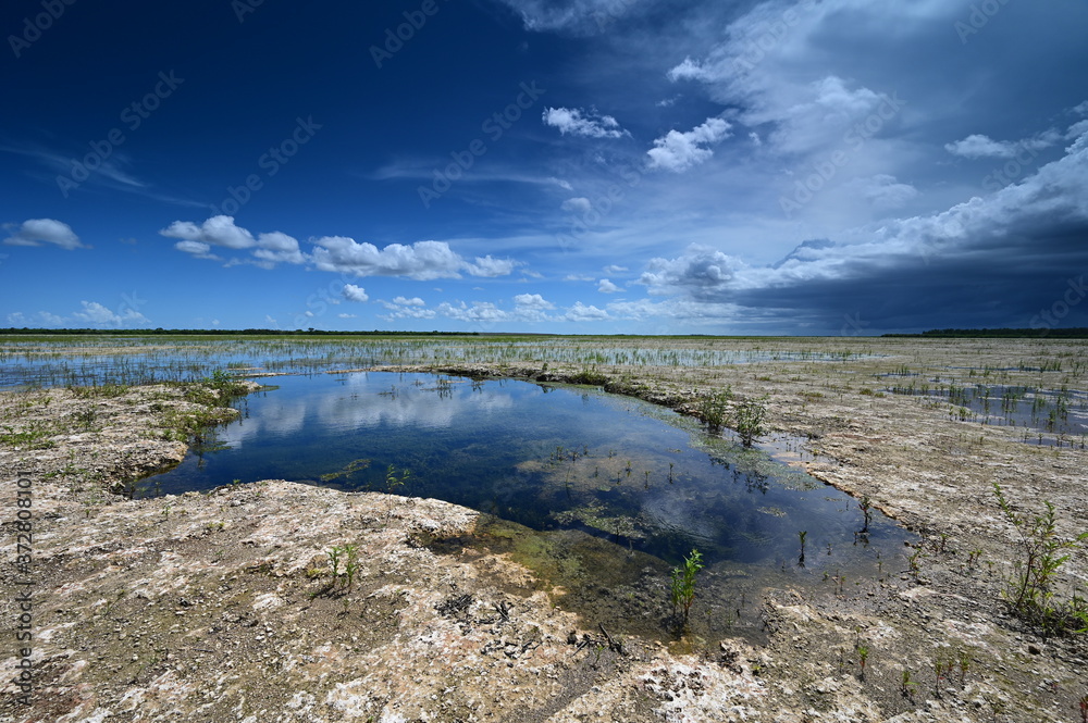 Summer clouds over Hole-in-the-Donut habitat restoration project in Everglades National Park, Florida.