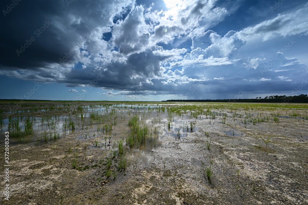 Summer clouds over Hole-in-the-Donut habitat restoration project in Everglades National Park, Florida.