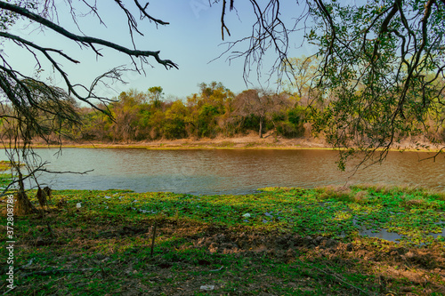 Fotografia Lago casi seco cubierto de vegetación