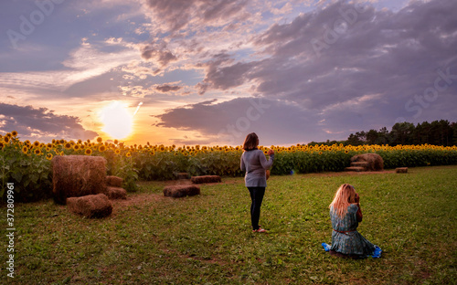 People are having fun in sunflower field under sunset