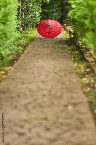 日本庭園に唐傘３