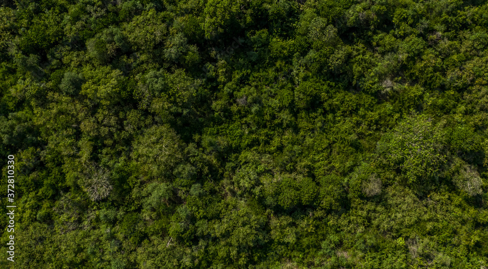Aerial view from drone of rainforest in thailand, nature background