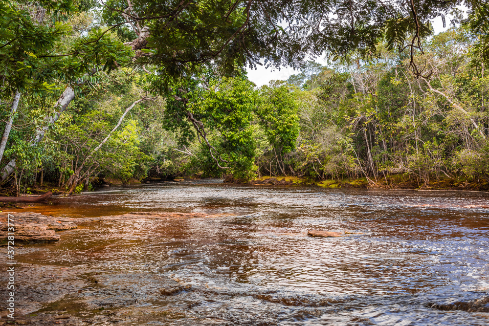 Fast rapid red tinted waters of the Amazon River running through the lush green jungle & rainforest of Presidente Figueiredo located in the Amazonas, Brazil, South America Fast rapid red tinted waters of the Amazon River running through the lush green jungle & rainforest of Presidente Figueiredo located in the Amazonas, Brazil, South America