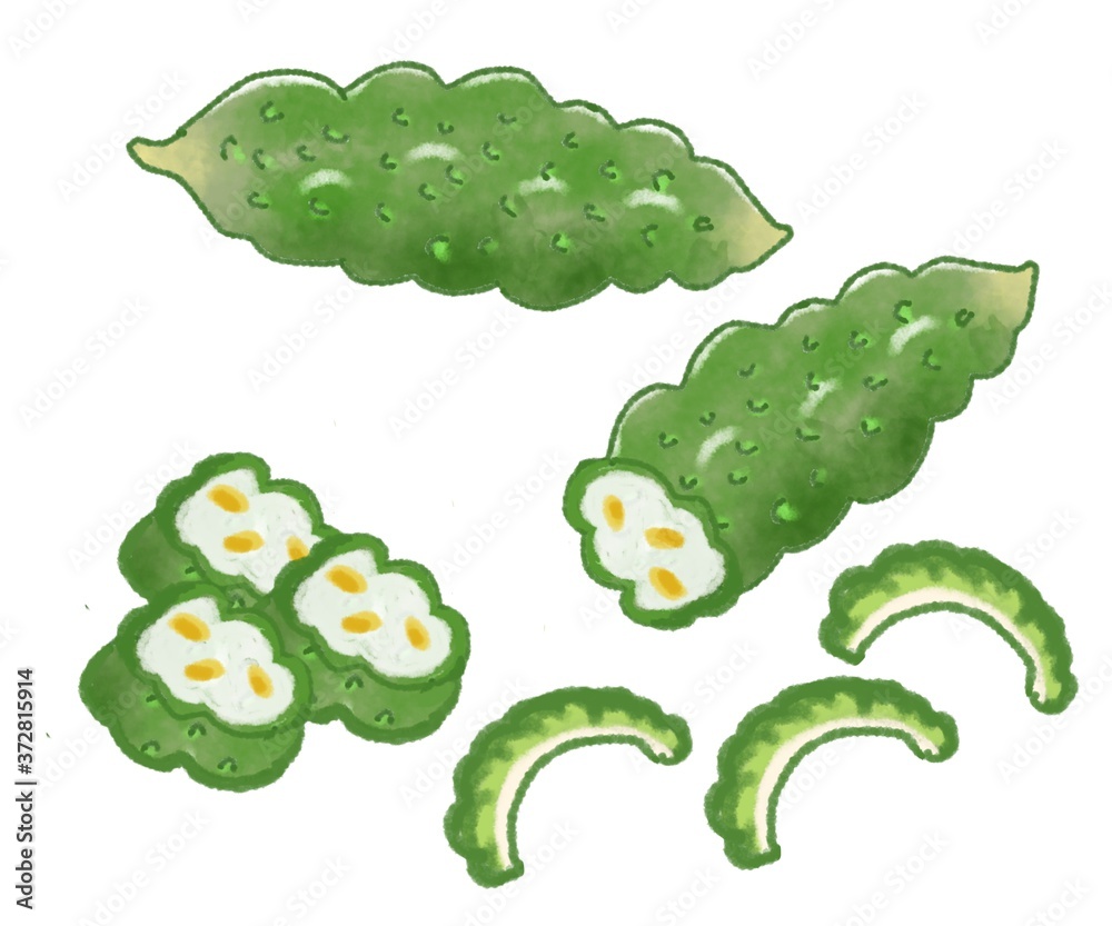 ゴーヤ 輪切りゆるいイラスト Stock イラスト Adobe Stock