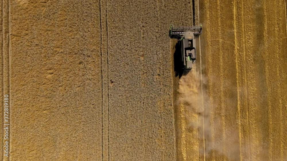 Aerial view of Combine Harvester at work. Polish farming. 4K Aerial view of Combine Harvester at work. Polish farming. 4K