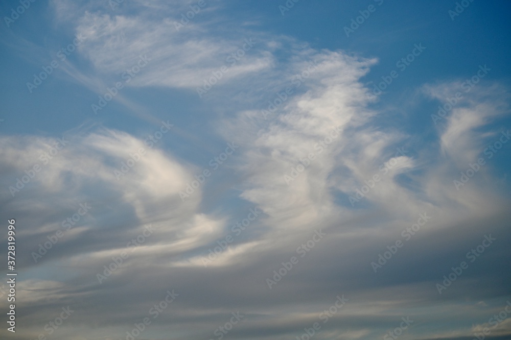 Clouds look like a fabulous flying white bird.