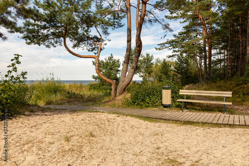 Bench , tree & path to the sea