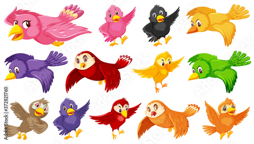 Set of bird cartoon character