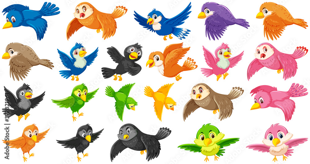 Set of bird cartoon character