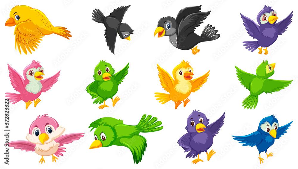 Set of bird cartoon character Set of bird cartoon character