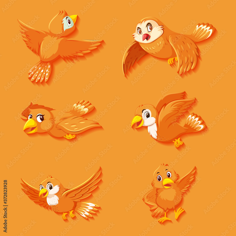 Cute orange bird cartoon character Cute orange bird cartoon character