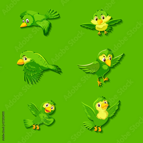 Cute green bird cartoon character © brgfx