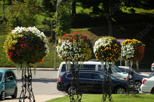 The city of Kedainiai in Lithuania is decorated with colorful flowers photo