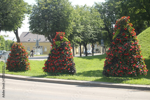 The city of Kedainiai in Lithuania is decorated with colorful flowers photo