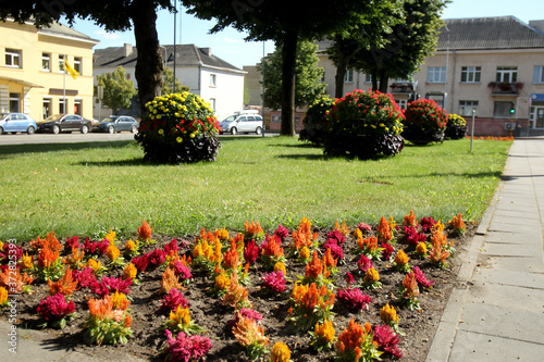 The city of Kedainiai in Lithuania is decorated with colorful flowers photo