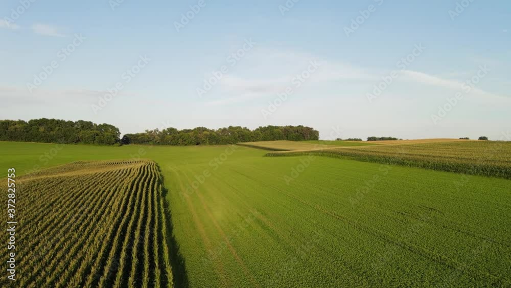 aerial view of corn fields and grass land on a farm in minnesota aerial view of corn fields and grass land on a farm in minnesota