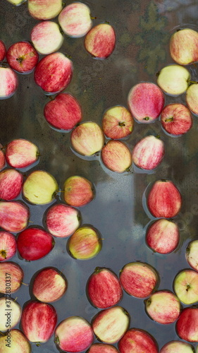 Apples in water. There are many apples on the surface of the water. Top view.